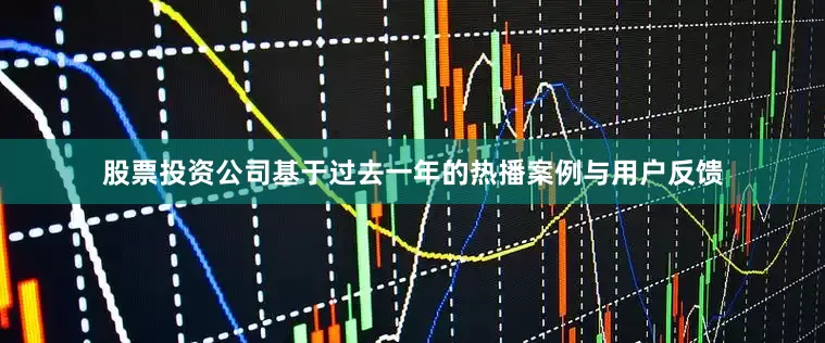 股票投资公司基于过去一年的热播案例与用户反馈